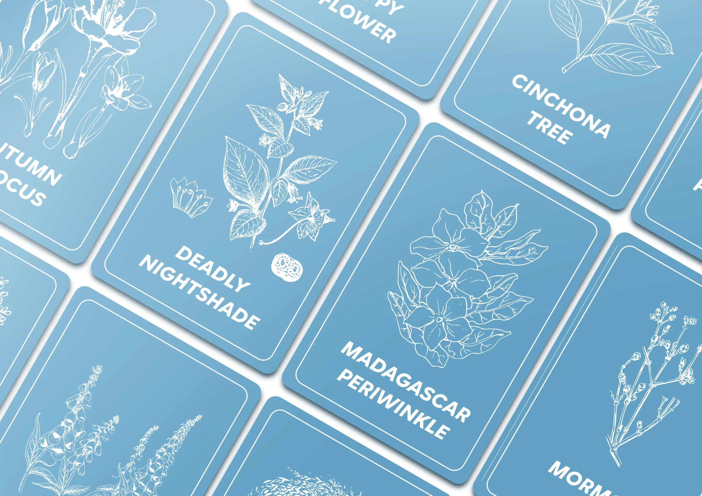 Card box design